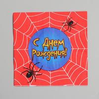 Набор бумажных салфеток «С днём рождения», паутина, 33х33, 20 шт.