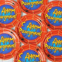 Тарелка бумажная «С днём рождения», паутина, набор 6 шт., 18 см