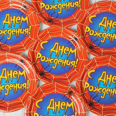 Тарелка бумажная «С днём рождения», паутина, набор 6 шт., 18 см