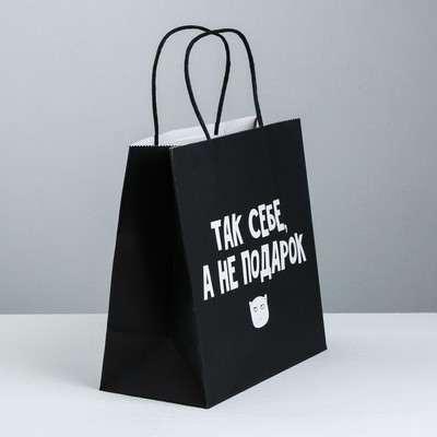 Пакет подарочный «Так себе, а не подарок», 22 × 22 × 11 см