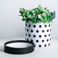 Подарочная коробка круглая «Чёрный горох», 16 × 16 см