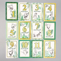 Набор карточек для фотосессий, Дисней