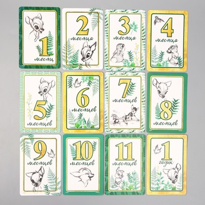 Набор карточек для фотосессий, Дисней