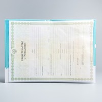 Свидетельство о рождении, Дамбо (новый формат свидетельства)