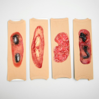 Рана 3Д, на руку, виды МИКС