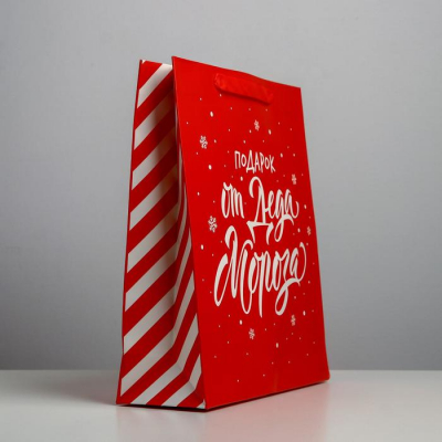 Пакет ламинированный вертикальный «Подарок от Деда Мороза», M 26 × 30 × 9 см