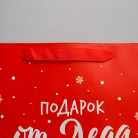 Пакет ламинированный вертикальный «Подарок от Деда Мороза», M 26 × 30 × 9 см