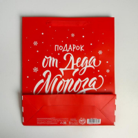 Пакет ламинированный вертикальный «Подарок от Деда Мороза», M 26 × 30 × 9 см