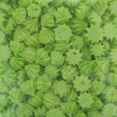 Сахарные кондитерские изделия "Мини-безе", зеленые, 50 г