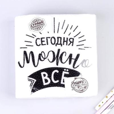 Салфетки бумажные «Сегодня можно всё», однослойные, 24х24 см, набор 20 шт.