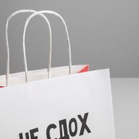 Пакет подарочный «И ладно», 22 х 22 х 11 см