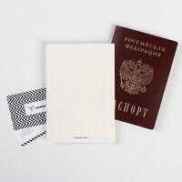 Обложка-прикол на паспорт "Хьюстон, я проблема" (1 шт) ПВХ, полноцвет