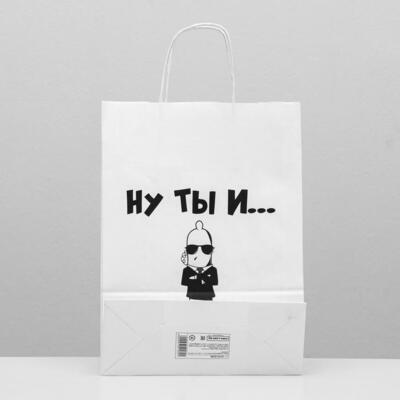 Пакет подарочный с приколами «Ну ты и...», 24 х 10 х 33 см