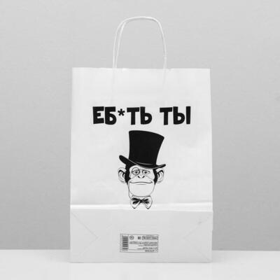 Пакет подарочный с приколами «Аристократ», 24 х 10 х 33 см