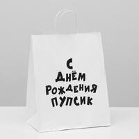 Пакет подарочный с приколами, крафт «Пупсик», белый, 24 х 14 х 30 см