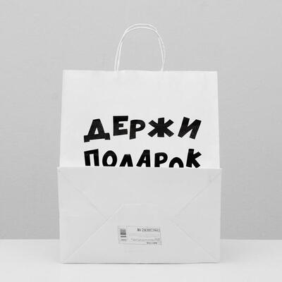 Пакет подарочный с приколами, крафт «Держи подарок», белый, 24 х 14 х 30 см