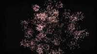 Фейерверк "Гефест", 19 залпов