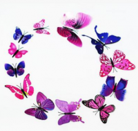 Бумажные бабочки для декора (магнит+клей),12 шт